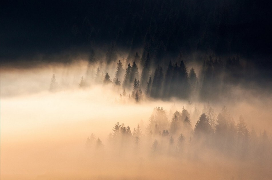 自从爱上你，心就放不下你，走路牵着你，天冷揣着你，天热顶着你，出门装着你，你呀你，我没脾气，因为太爱你