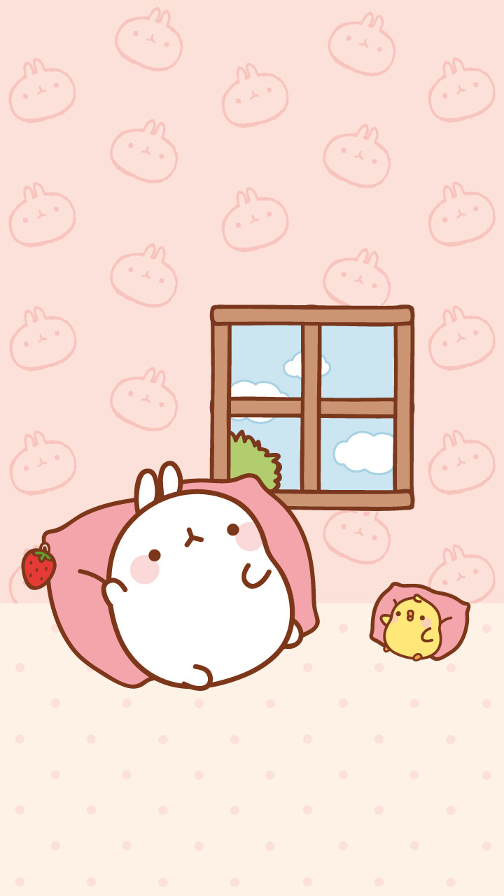 molang✿┞liran┦✿收图