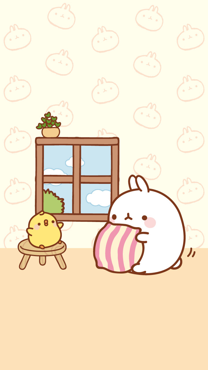 molang✿┞liran┦✿收图