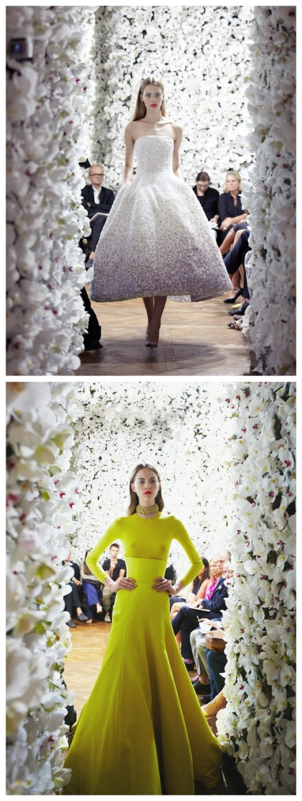 ~Christian Dior haute couture FW 2012