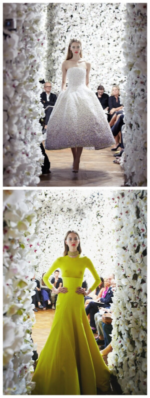 ~Christian Dior haute couture FW 2012