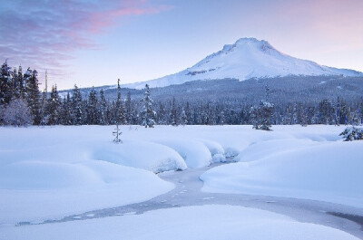 雪地，纯洁