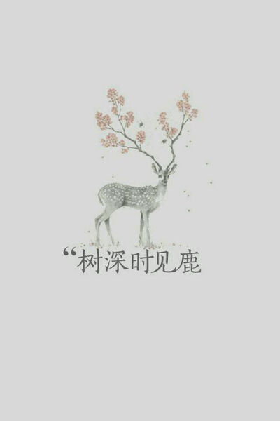 清新 原宿