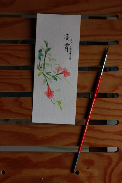 凌霄花 水彩手绘