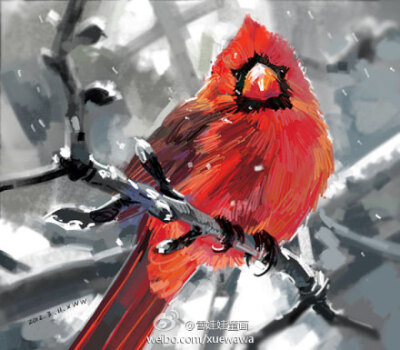 你是这素白冬日中的一抹勃勃生机，一团红色的绒绒的火球~【熊饼干】