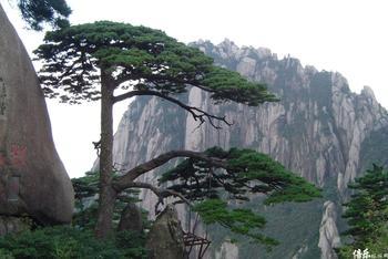 黄山风景区（HuangshanMountain）是中国著名风景区之一，世界游览胜地，位于安徽省南部黄山市。