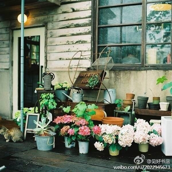 植物店