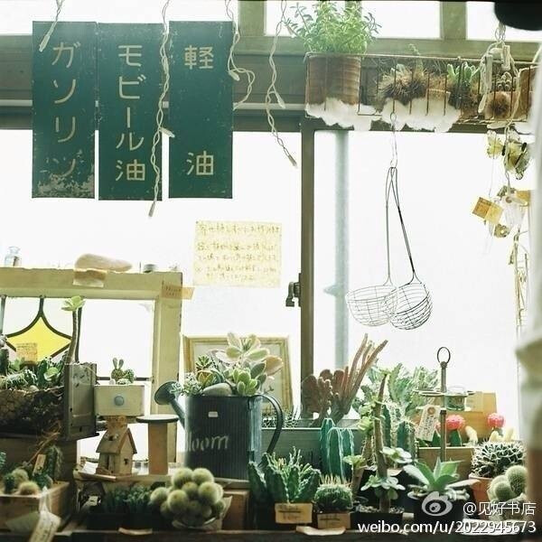 植物店