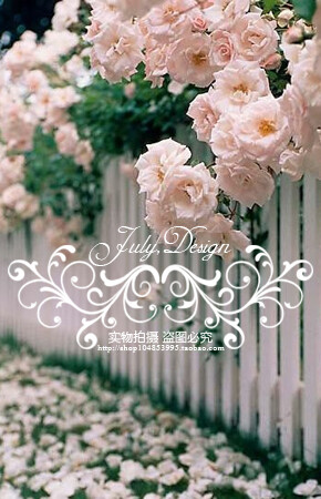 「水印设计logo设计」网店图片防盗水印制作 N6