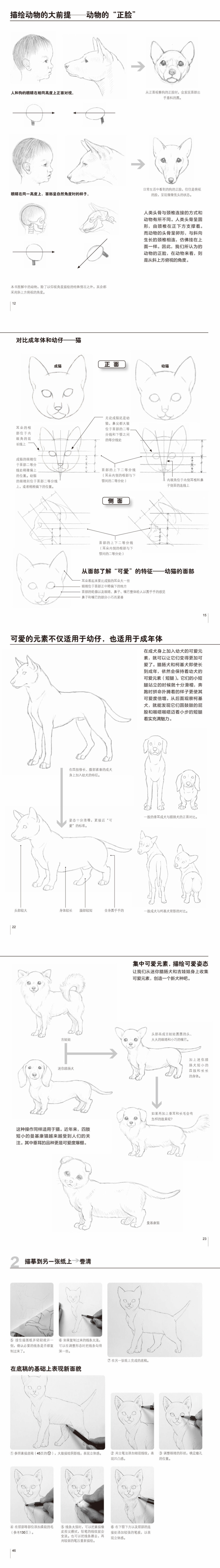 《超可爱宠物，你也可以画！》——基本功训练1