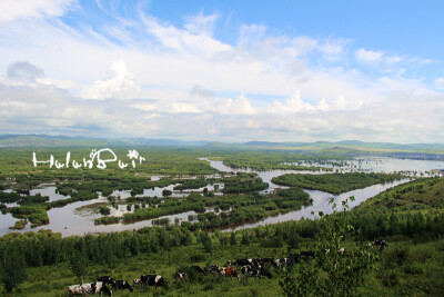 额尔古纳湿地