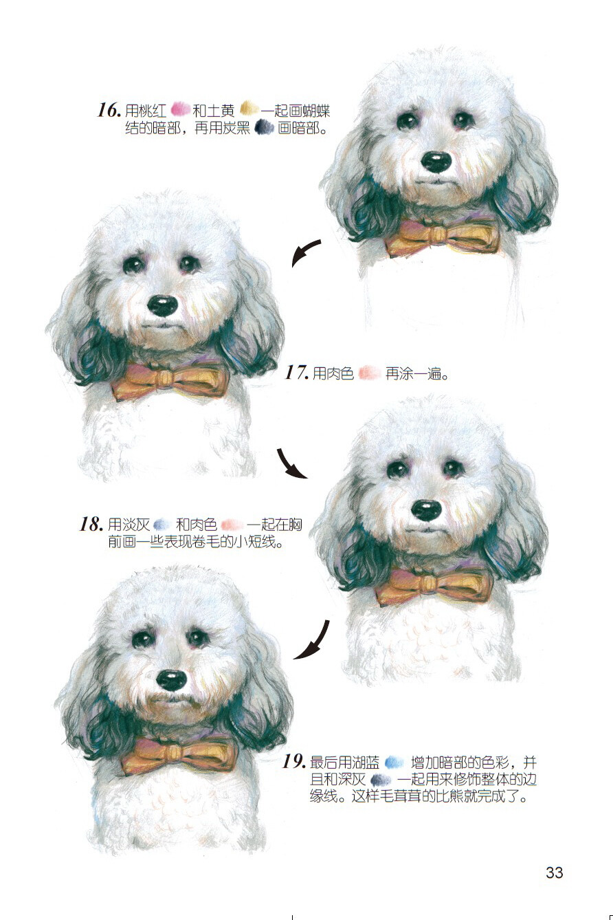 《爱绘生活：狗狗的萌宠手绘集合》——比熊犬5