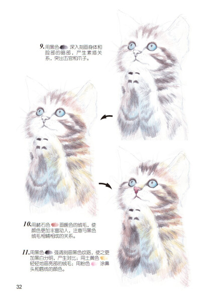 《爱绘生活：猫咪的萌宠手绘集合》——虔诚4