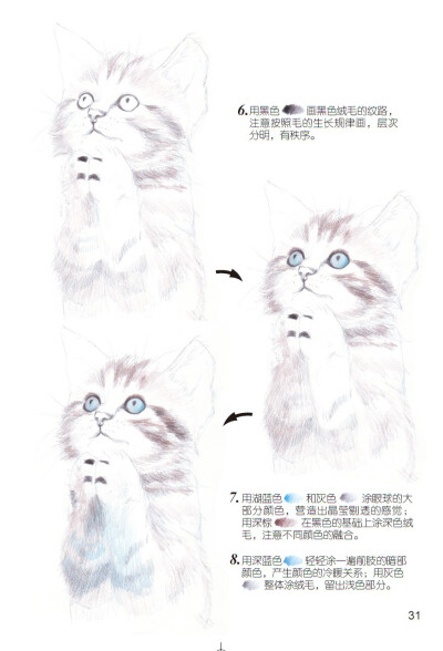 《爱绘生活：猫咪的萌宠手绘集合》——虔诚3
