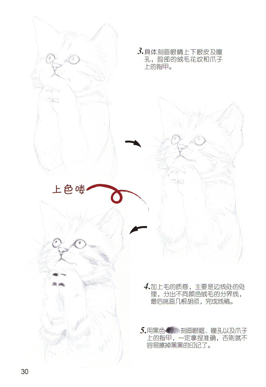 《爱绘生活：猫咪的萌宠手绘集合》——虔诚2