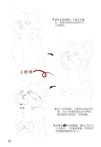《爱绘生活：猫咪的萌宠手绘集合》——虔诚2