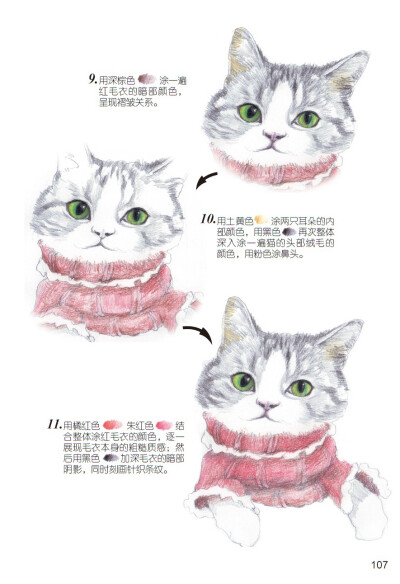 《爱绘生活：猫咪的萌宠手绘集合》——穿红毛衣的猫4