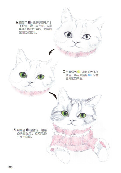 《爱绘生活：猫咪的萌宠手绘集合》——穿红毛衣的猫3