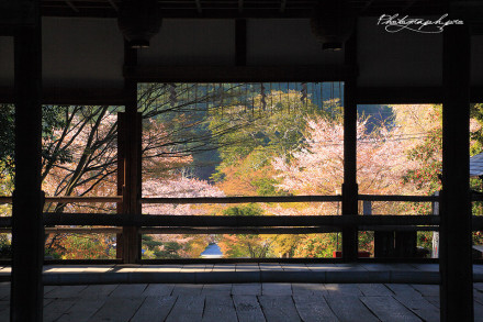 日本紀行·美しき日本の風景を旅する【地址：http://photograph.pro/这里有日本最秾艳动人的风景，寺庙和神社尤其多(ღ˘⌣˘ღ) 最后一张是壬生寺的红叶