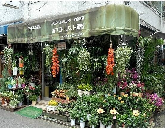 开一家花店吧