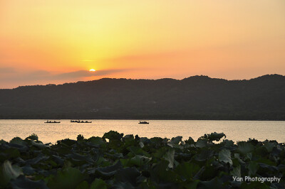 2010年。夏日。杭州。西湖。