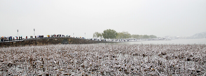 2010年。冬日。杭州。断桥残雪。