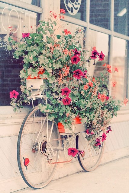 Bloomed Bike 开花的自行车