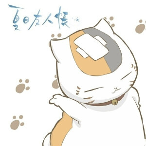 夏目友人帐。猫咪老师。
