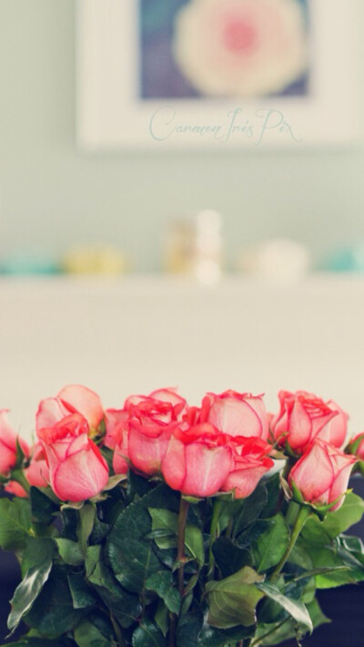 ⋈*⋆愤怒de小他的她✿✿ฺ 〜iPhone5，手机壁纸，背景。