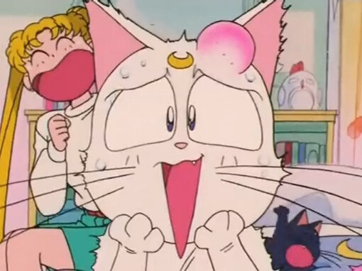 ⋈*⋆愤怒de小他的她✿✿ฺ 头像，美少女战士，水冰月，月野兔，