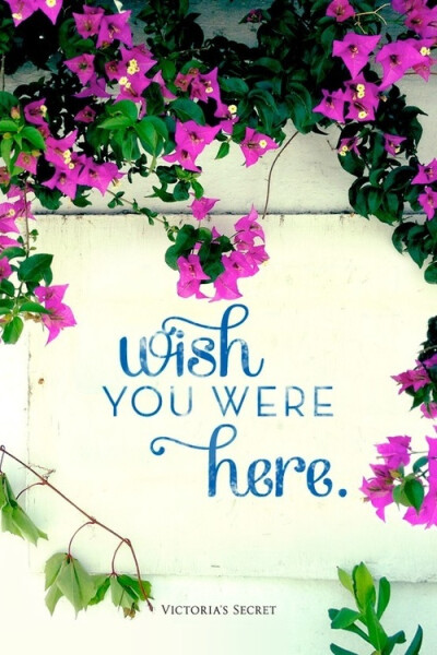 wish you were here