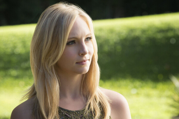 Candice Accola，芭比