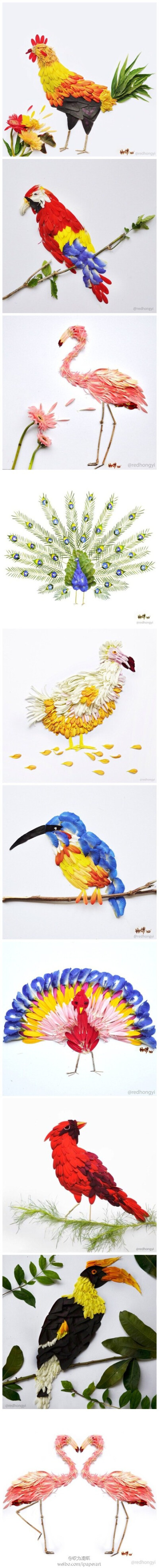 设计师Hong Yi的作品，用鲜花拼成的鸟兽，有不同于羽毛的鲜亮色泽。
