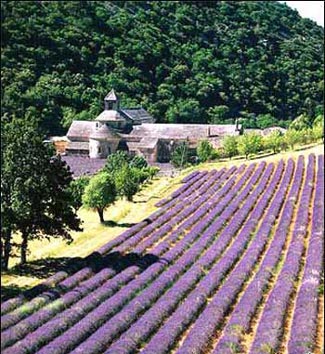 【奥比都斯~Obidos】梦中的宁静婚礼