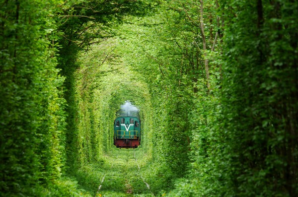  乌克兰的“爱情隧道” 今生必去