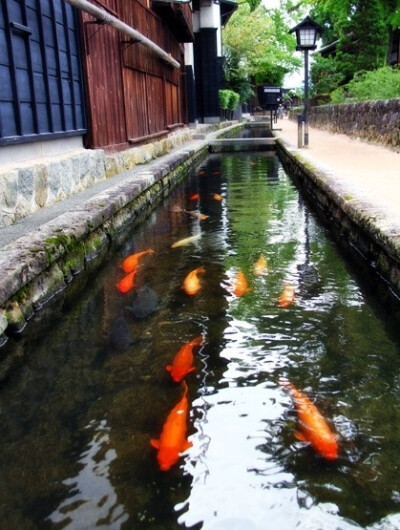 【日本】岐阜