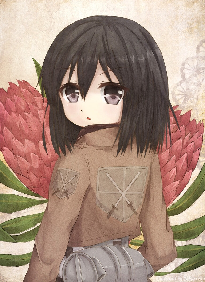 进击的巨人进撃の巨人三笠61阿克曼mikasa61ackerman三爷好萌