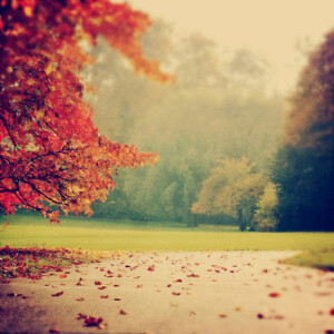 人生一世，草木一秋，皆是过程，美与可爱，有心皆懂