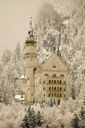 【德國新天鵝堡Neuschwanstein Castle】，這座城堡是巴伐利亞國王路德維希二世建造，位在德國巴伐利亞省福森市，在德國東南與奧地利的邊界上，城堡就蓋在隸屬阿爾卑斯山山脈一個近一千公尺高的山頂上新天鵝堡的外型也激發了許多現代童話城堡的靈感，包括美國加州迪士尼樂園和香港迪士尼樂園的睡美人城堡。   