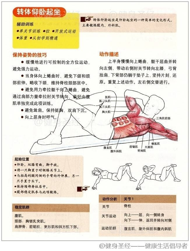 【转体仰卧起坐】仰卧起坐的一种简单的变化形式，主要锻炼腹内、外斜肌。