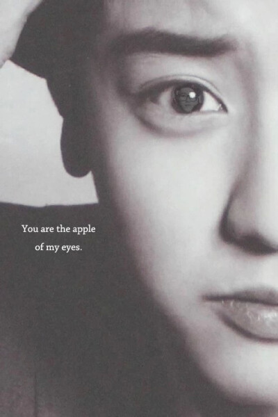 You are the apple of my eyes.灿