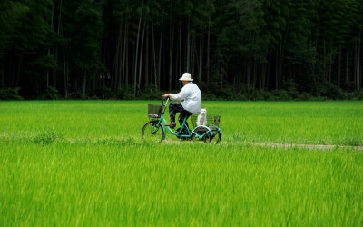 老婆婆与小白猫福丸(Fukumaru) 彼此相依为命，互相陪伴，在田园的日子过得简单却十分幸福。^^