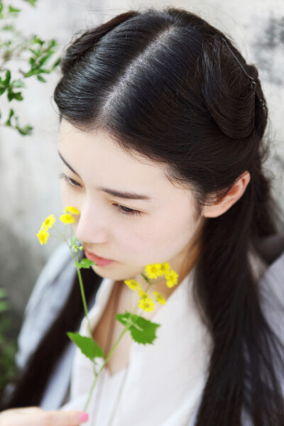 芙蓉如面柳如眉，对此如何不泪垂。