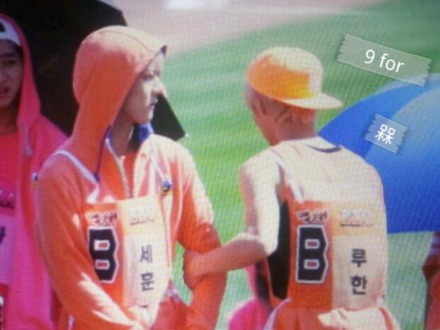 勋鹿HUNHAN （cr:图logo）