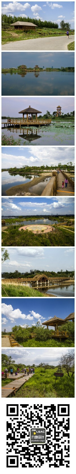 【北国水城——金河湾#湿地植物园景观#】金河湾湿地植物园三面环水，河池相通，水陆相连，生境各异，物种多样，通过人工辅助措施和自然繁衍，已恢复陆生、砂生、湿生、水生植物近300多种。是哈尔滨水生态保护与修复的示范区，是全面实施“万顷松湿地，百里生态长廊”生态工程重要组成部分。http://www.jiudi.net/content/?1565.html