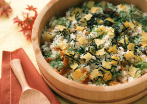 食物  摄影  与生活