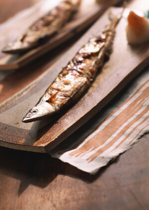 食物  摄影  与生活