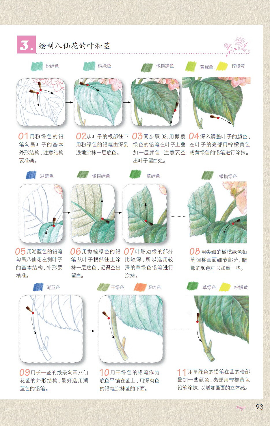 画八仙花3