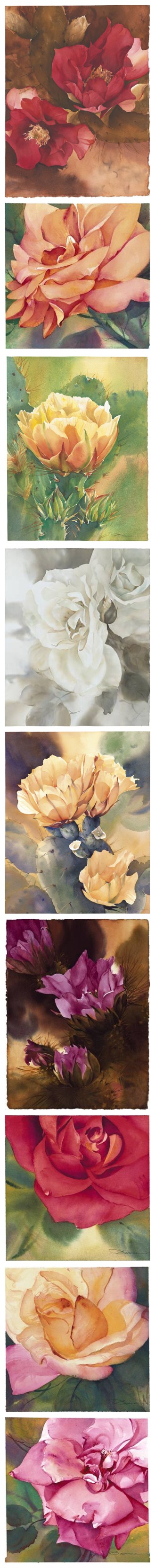 花儿的样貌