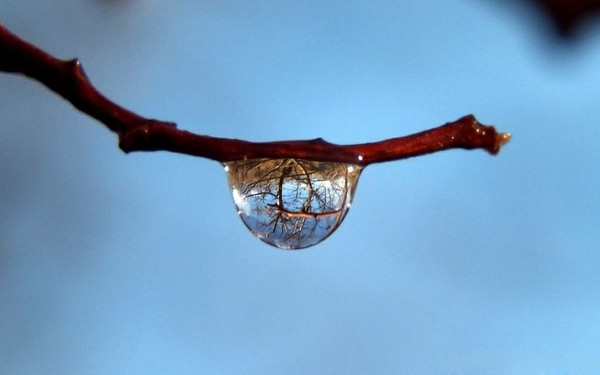 水滴 雨